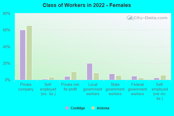 Class of Workers in 2022 - Females