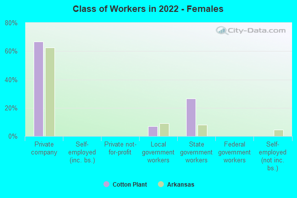 Class of Workers in 2022 - Females