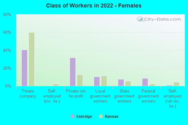 Class of Workers in 2022 - Females