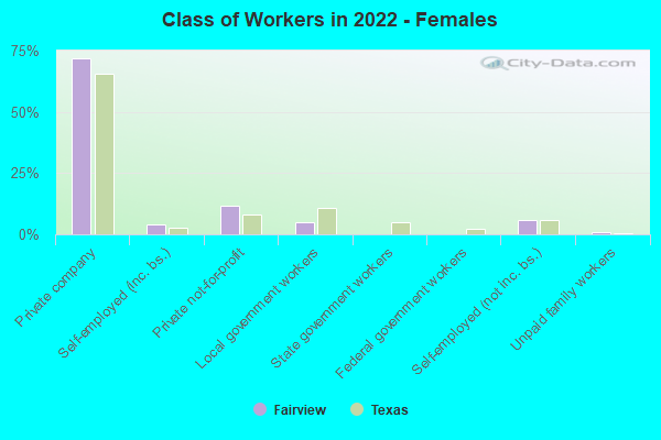 Class of Workers in 2022 - Females