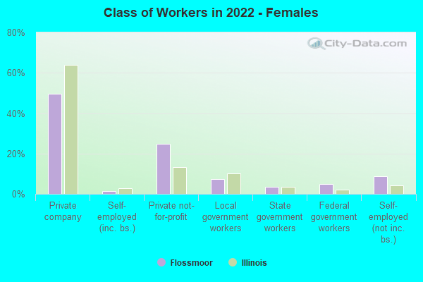 Class of Workers in 2022 - Females