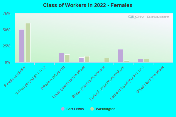 Class of Workers in 2022 - Females