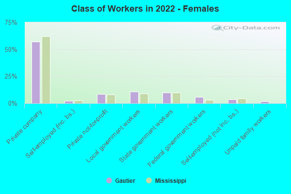 Class of Workers in 2022 - Females