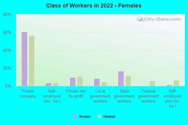 Class of Workers in 2022 - Females