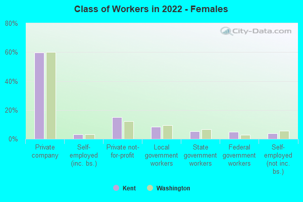 Class of Workers in 2022 - Females