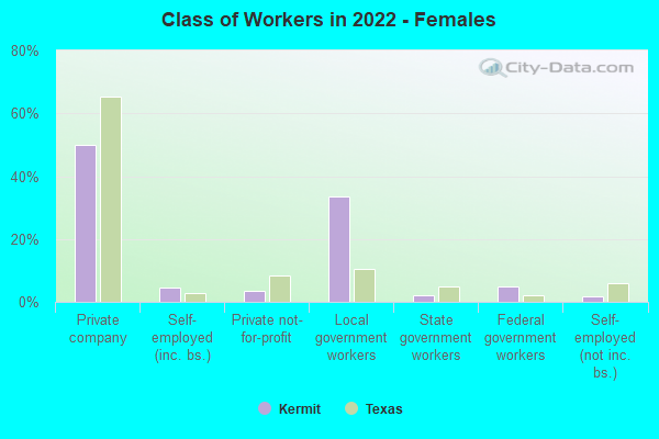 Class of Workers in 2022 - Females