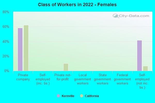 Class of Workers in 2022 - Females