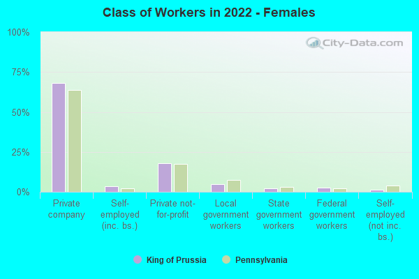 Class of Workers in 2022 - Females