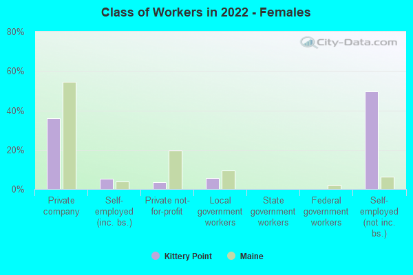 Class of Workers in 2022 - Females