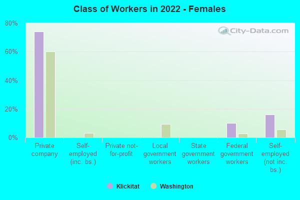 Class of Workers in 2022 - Females