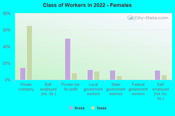 Class of Workers in 2022 - Females