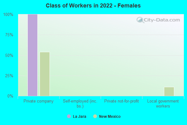 Class of Workers in 2022 - Females