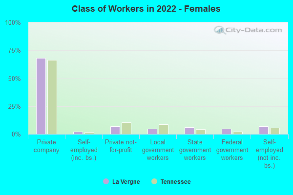 Class of Workers in 2022 - Females