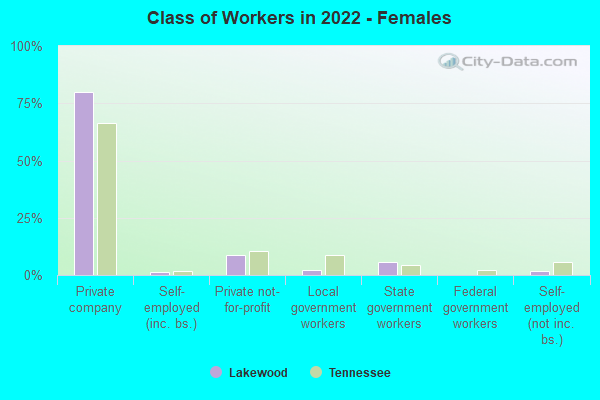 Class of Workers in 2022 - Females