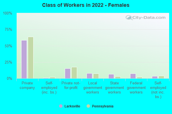 Class of Workers in 2022 - Females