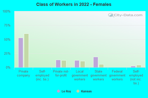 Class of Workers in 2022 - Females