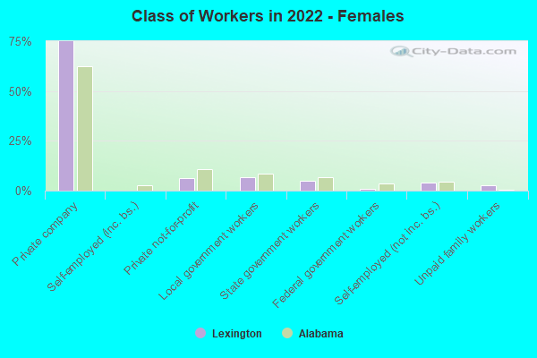 Class of Workers in 2022 - Females