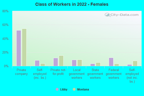 Class of Workers in 2022 - Females