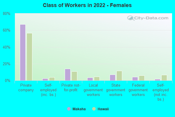 Class of Workers in 2022 - Females