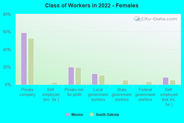 Class of Workers in 2022 - Females