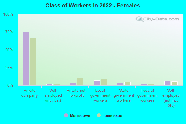 Class of Workers in 2022 - Females