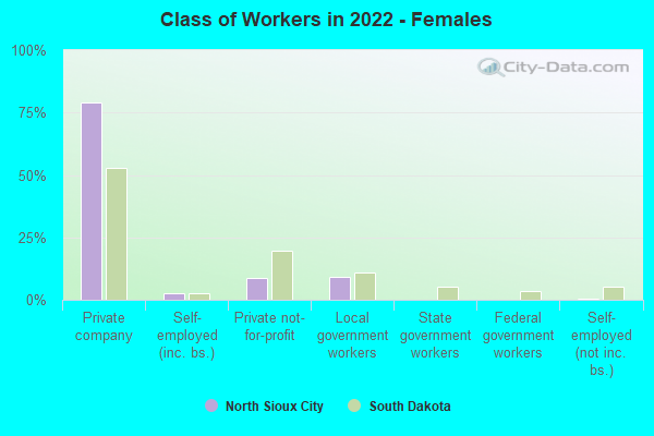 Class of Workers in 2022 - Females