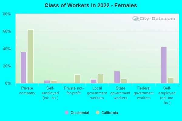 Class of Workers in 2022 - Females