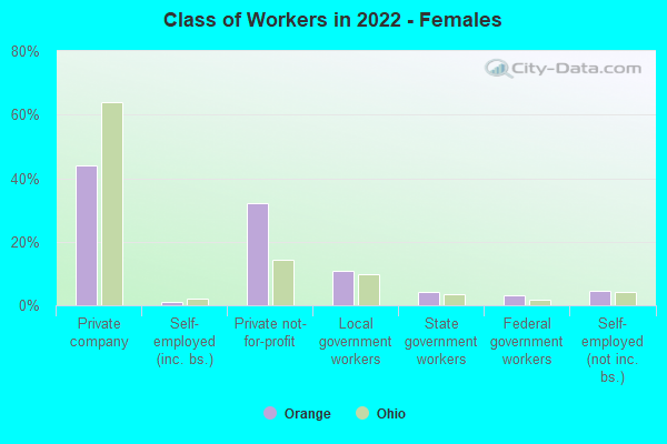 Class of Workers in 2022 - Females