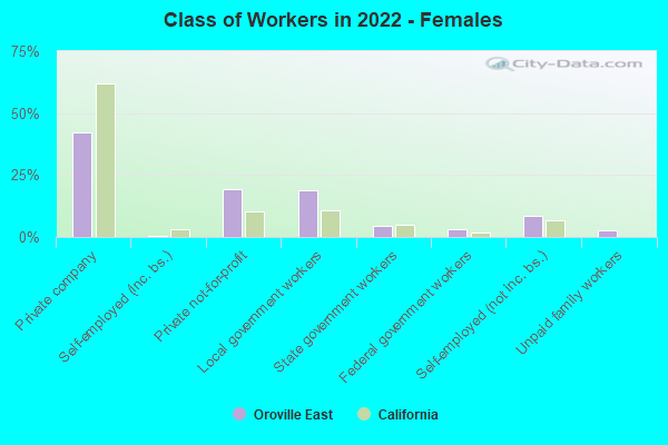 Class of Workers in 2022 - Females