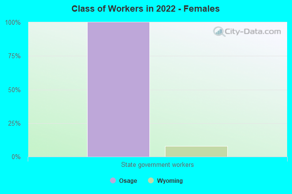 Class of Workers in 2022 - Females