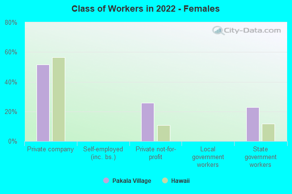 Class of Workers in 2022 - Females