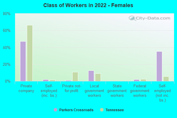 Class of Workers in 2022 - Females