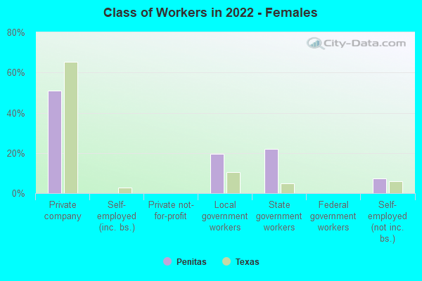 Class of Workers in 2022 - Females