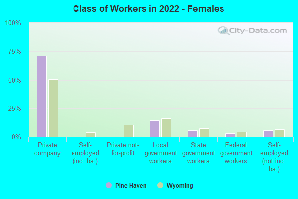 Class of Workers in 2022 - Females