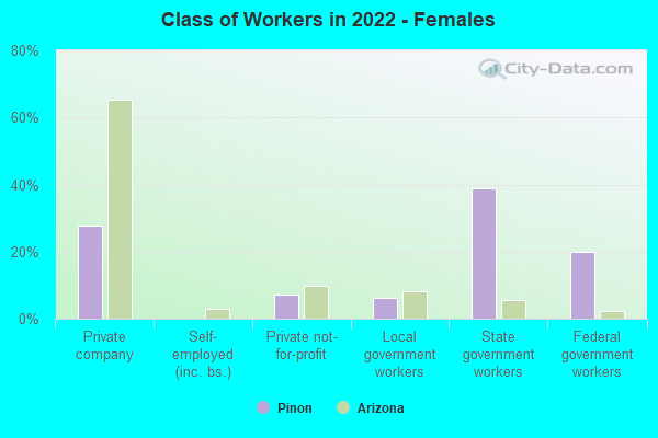 Class of Workers in 2022 - Females