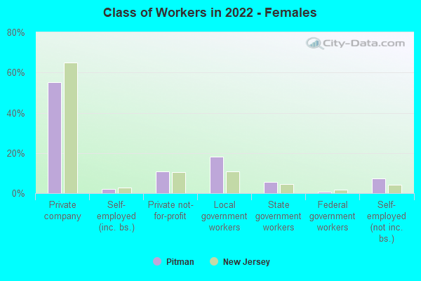 Class of Workers in 2022 - Females