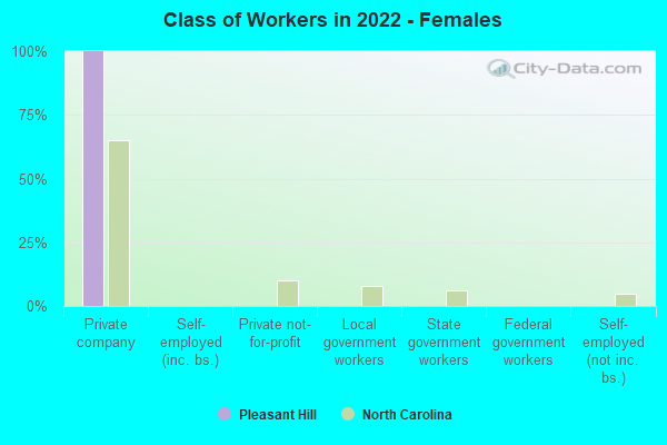 Class of Workers in 2022 - Females