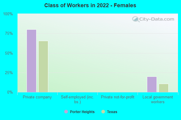 Class of Workers in 2022 - Females