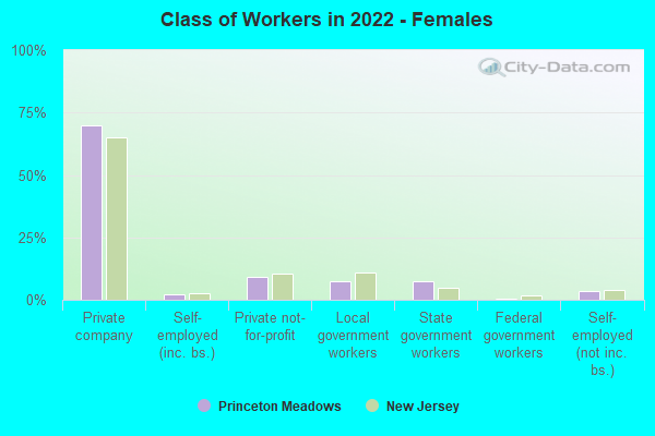 Class of Workers in 2022 - Females