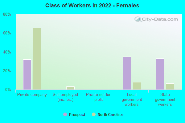 Class of Workers in 2022 - Females