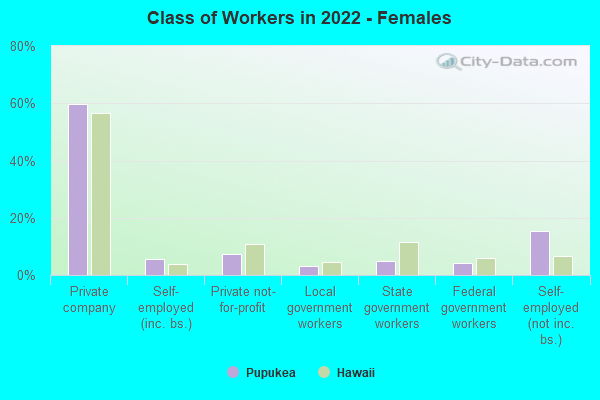 Class of Workers in 2022 - Females