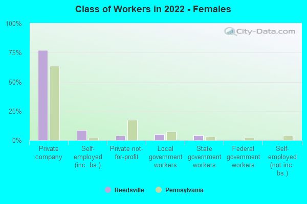 Class of Workers in 2022 - Females