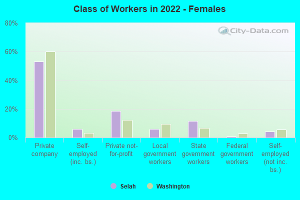 Class of Workers in 2022 - Females