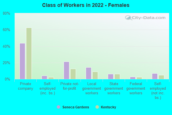 Class of Workers in 2022 - Females