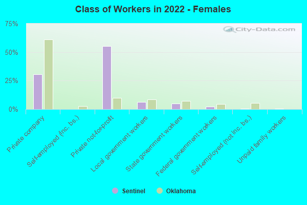 Class of Workers in 2022 - Females