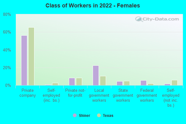 Class of Workers in 2022 - Females