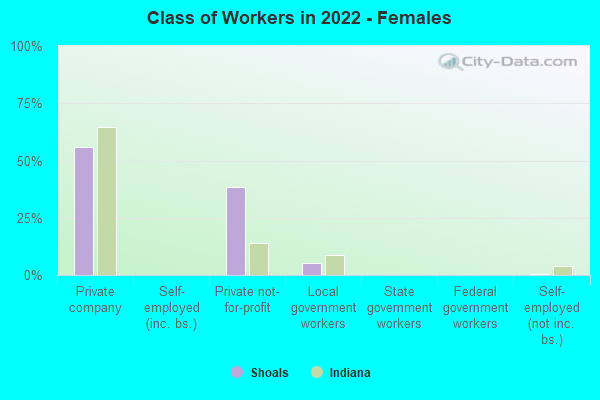 Class of Workers in 2022 - Females