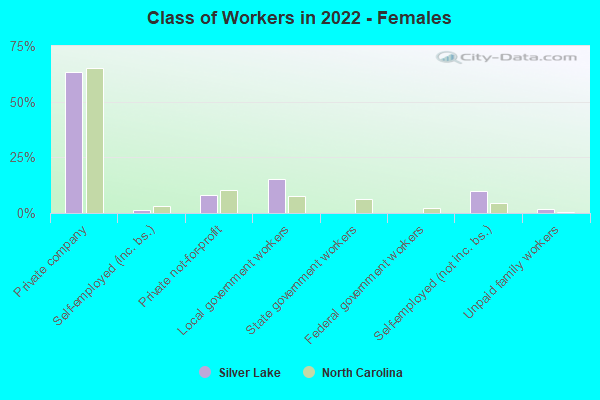 Class of Workers in 2022 - Females