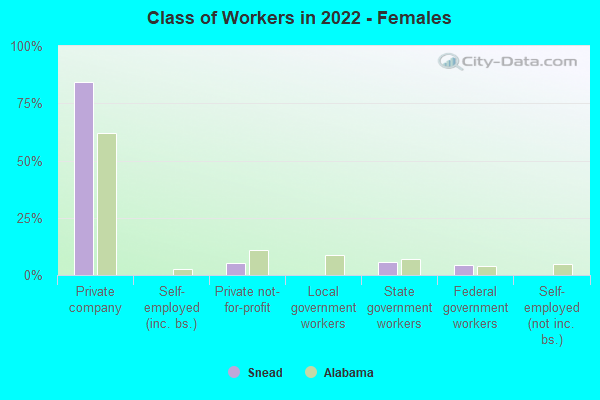 Class of Workers in 2022 - Females