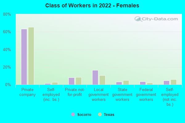 Class of Workers in 2022 - Females